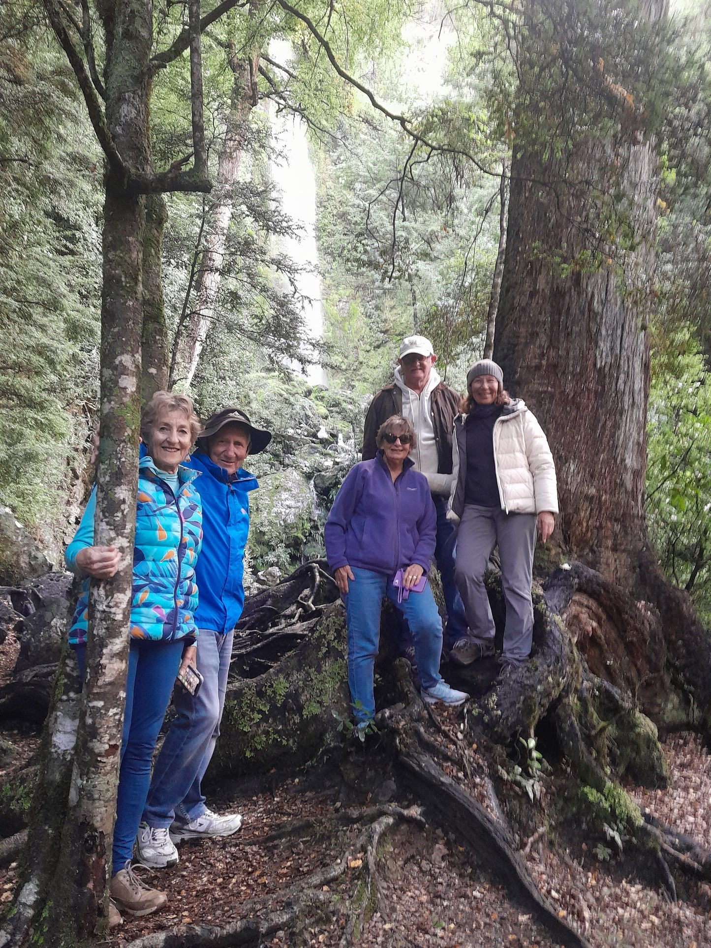 Top Of the South - Takaka