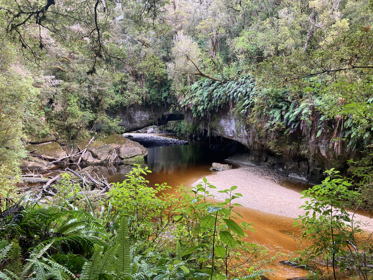 Wild West Coast Tour - Karamea