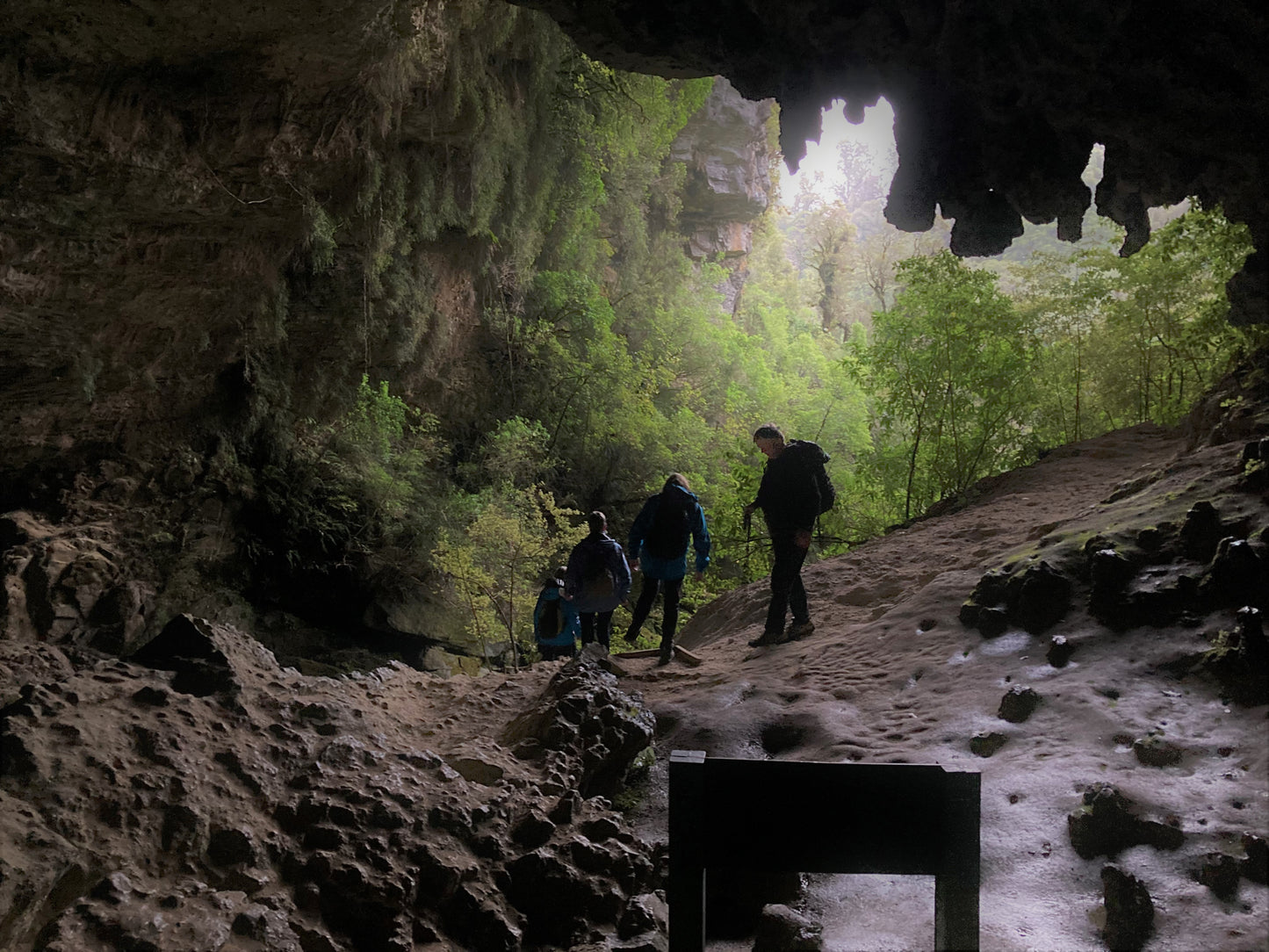 Wild West Coast Tour - Karamea