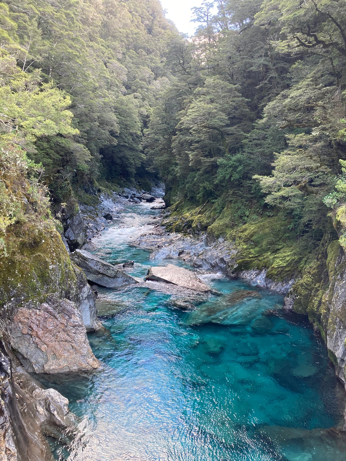 Alps2Ocean Guided Tours - White Heron Spring Tour, blue river