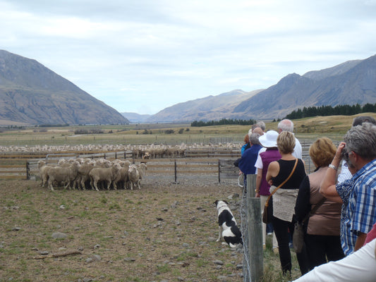 Alps2Ocean Guided Tours - Cruise Ship Excursions