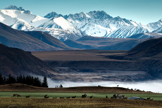 Alps2Ocean Guided Tours - Road 2 Mesopotamia