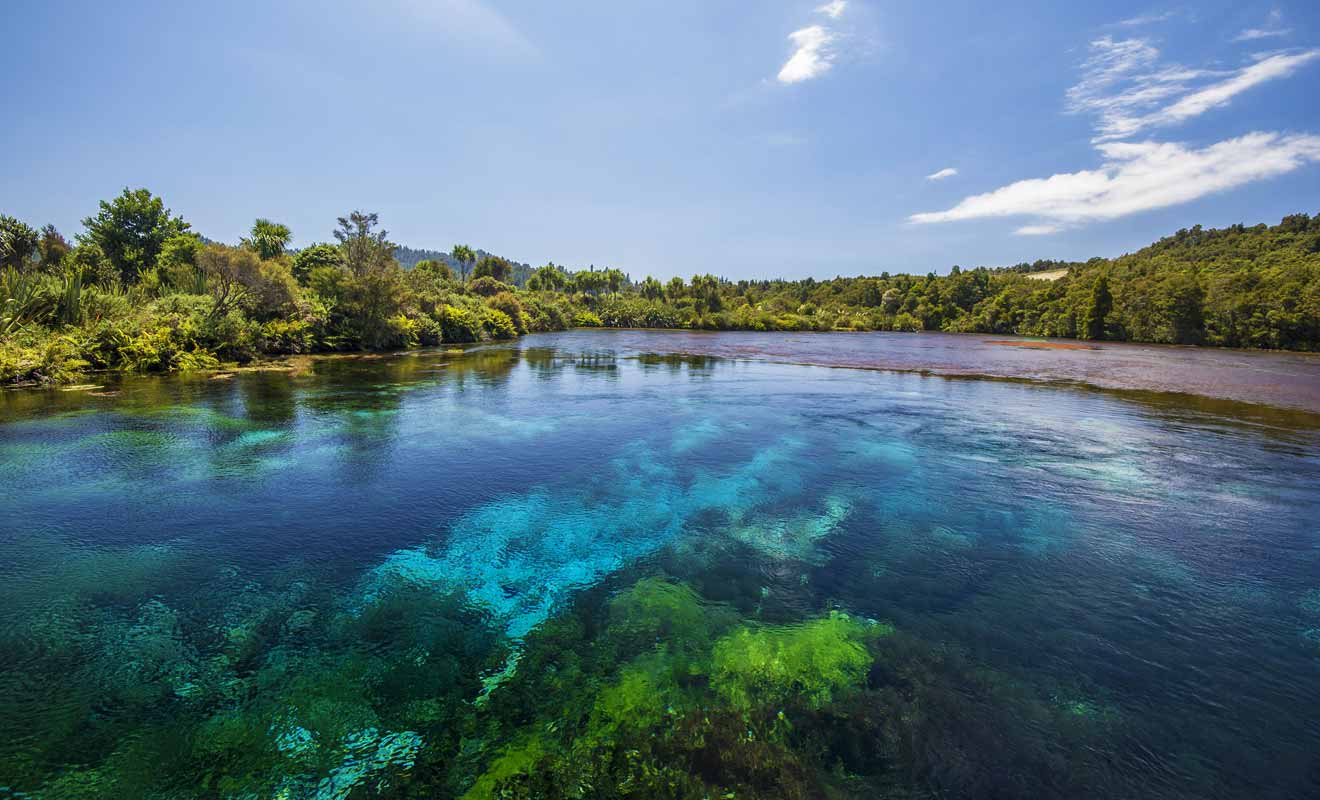 Alps2Ocean Guided Tours - Top of the South - Takaka, Pupu Springs