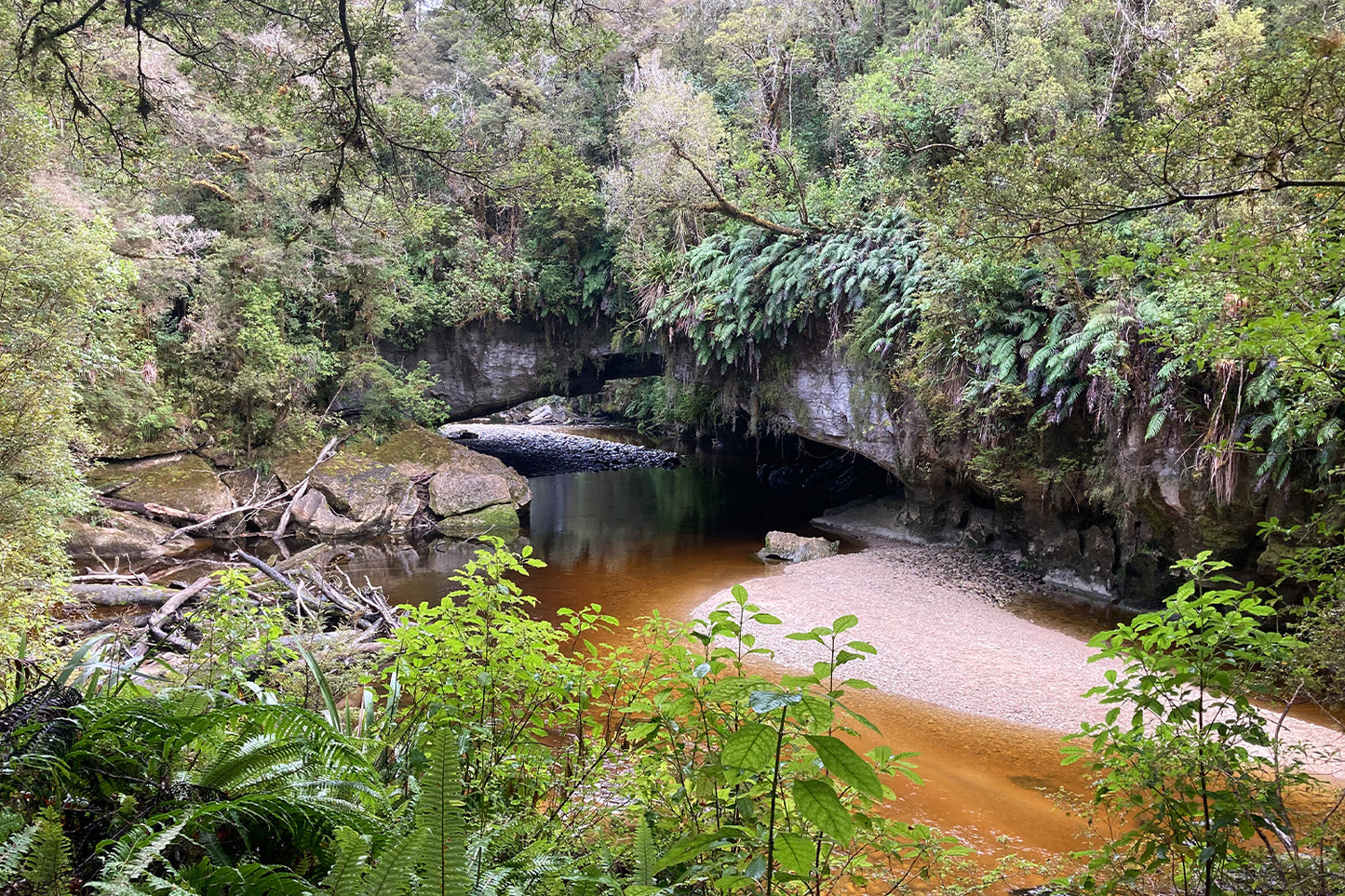 Wild West Coast Tour - Karamea