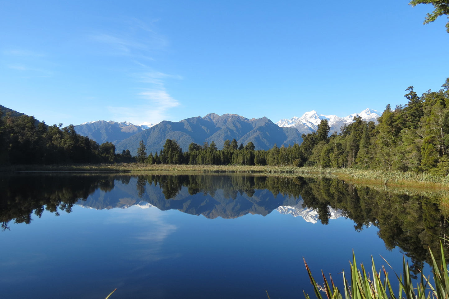 Alps2Ocean Guided Tours - White Heron Spring Tour