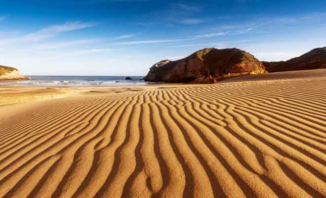 Alps2Ocean Guided Tours - Top of the South - Takaka, Wharariki Beach Dunes