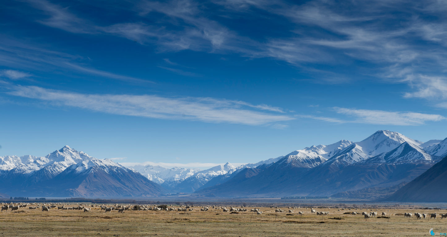 Canterbury High Country Lakes and Valleys