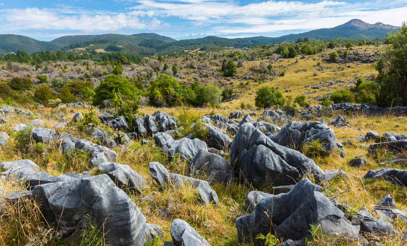 Top Of the South - Takaka