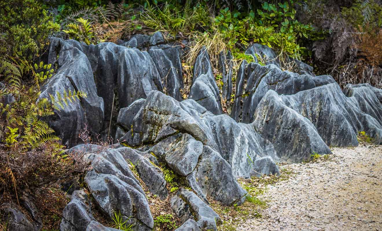 Top Of the South - Takaka